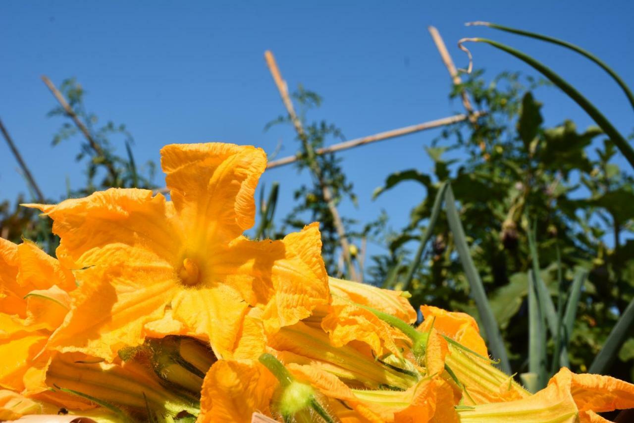 Casale Dionisia, Santa Maria Di Castellabate, Appartamento Iris 外观 照片